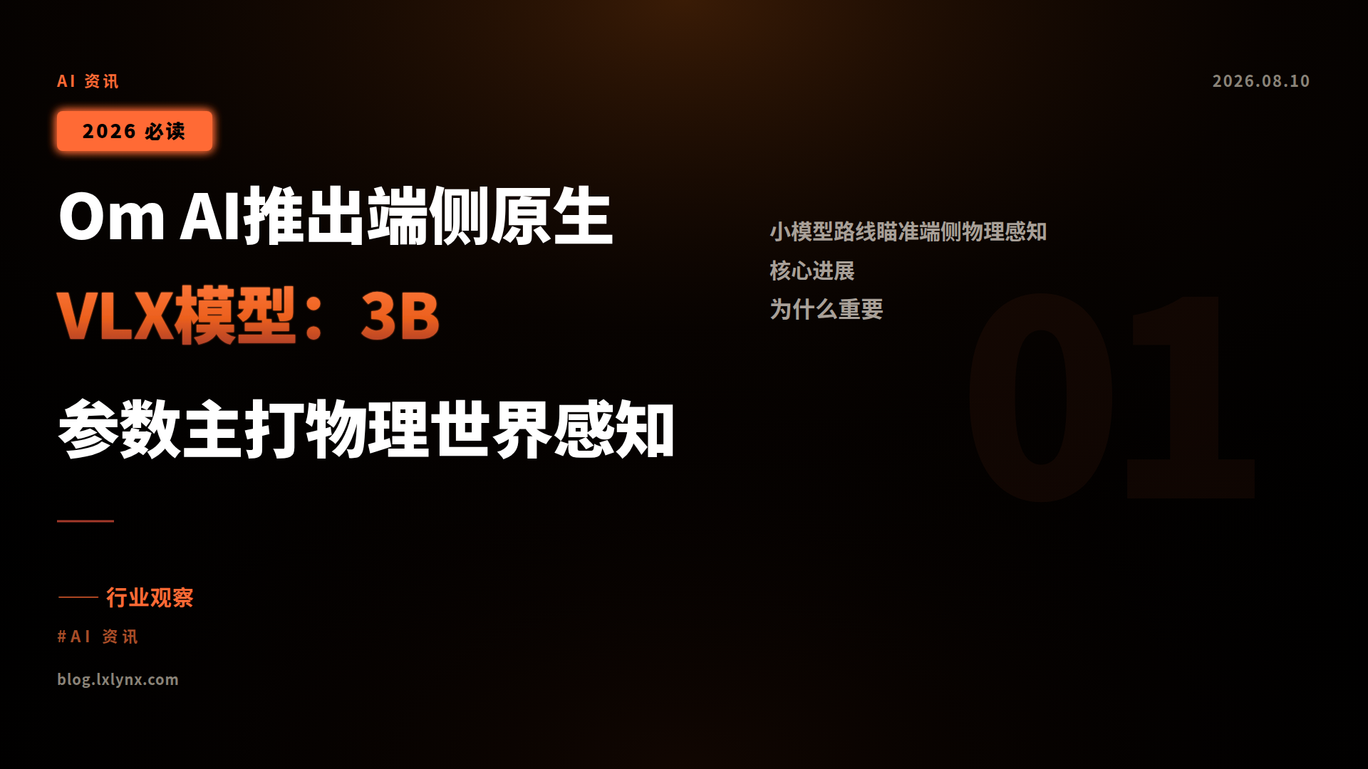 Om AI推出端侧原生VLX模型:3B参数主打物理世界感知